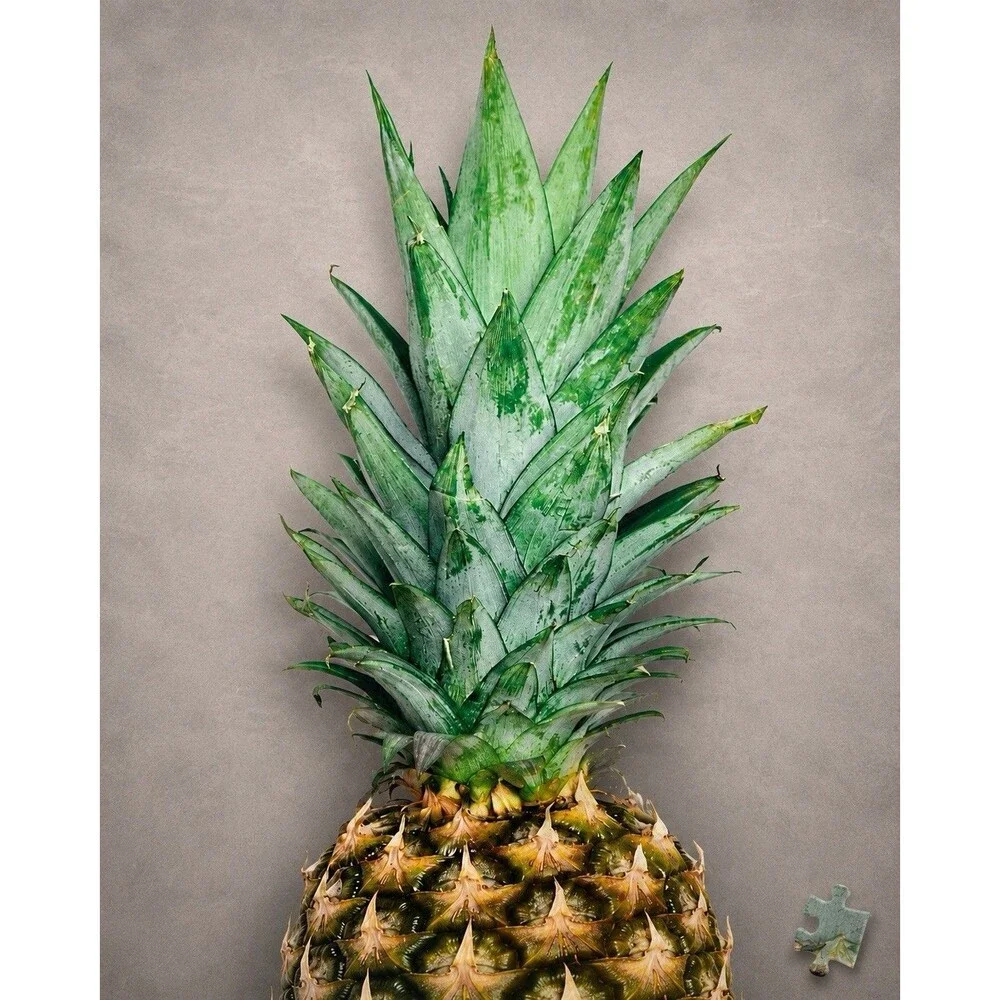 Havana Nights Pineapple Top Jigsaw Puzzle 1000 Piece Sealed Summer Tropical Art